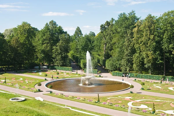 Peterhof. dolní park. fontána "mísa" parter květinová zahrada — Stock fotografie