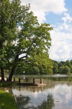 Tsarskoye selo. Catherine park. Rusya