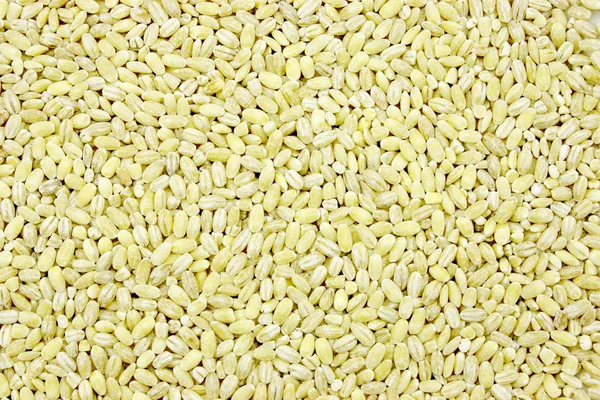Groats barley — Stock Photo, Image