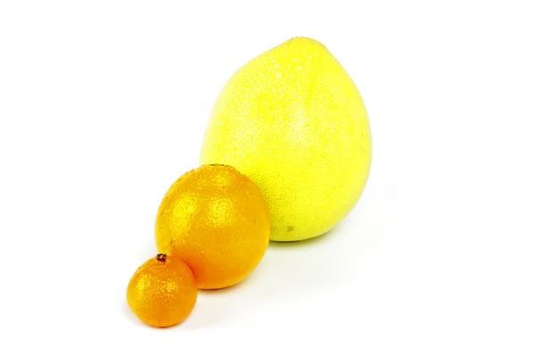 Цитрон солодкі фрукти — стокове фото