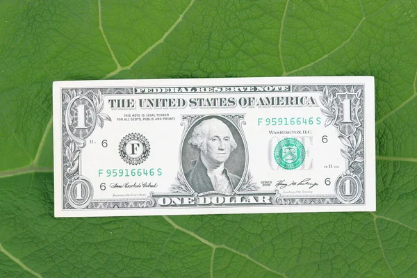 Dollar op een gras. — Stockfoto