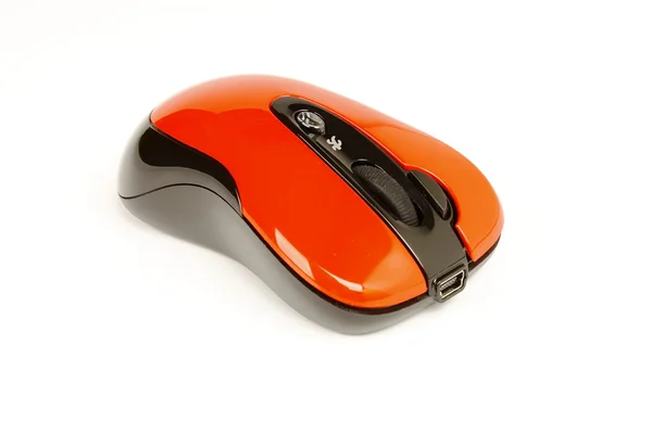 stock image The mouse for a computer