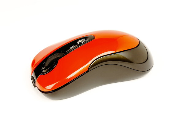 The mouse for a computer