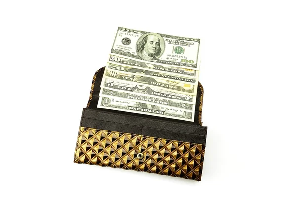 Handväska med dollar — Stockfoto