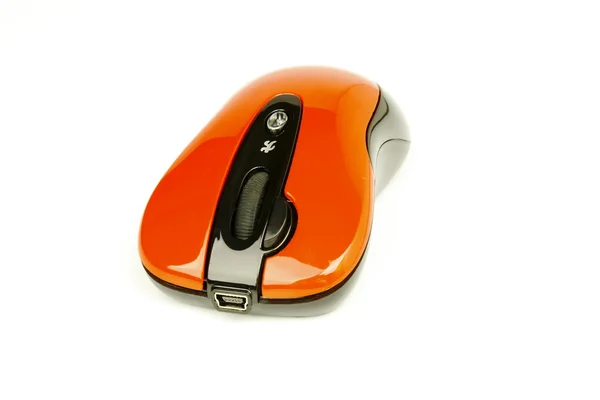 The mouse for a computer — Stock Photo, Image