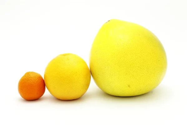 A família dos citrinos — Fotografia de Stock