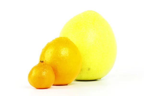 De familie van citrusvruchten — Stockfoto