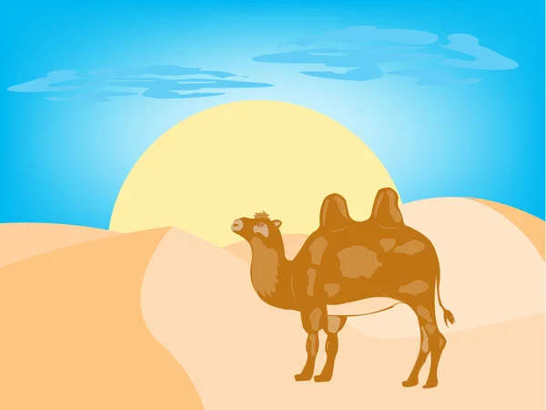 Camello en el desierto — Archivo Imágenes Vectoriales