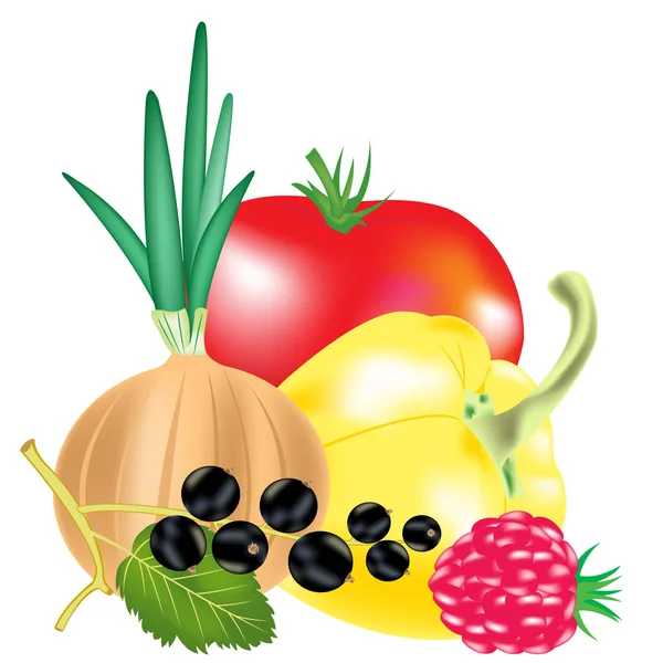Zöldségek és gyümölcsök, bogyós gyümölcsök — Stock Vector