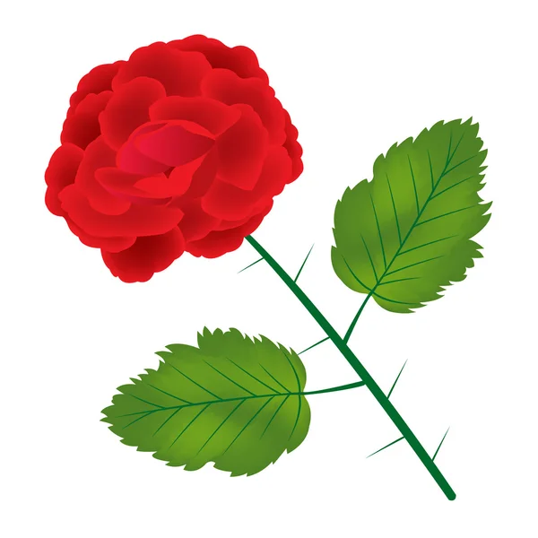 stock vector Red rose on white background