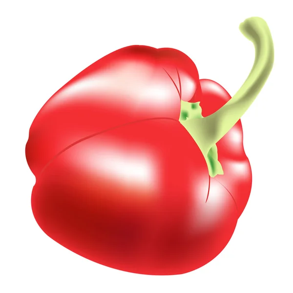 Red pepper on white background — Stock Vector