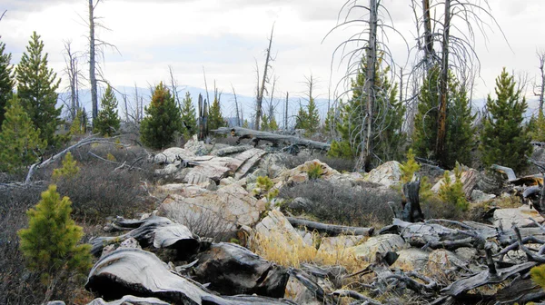 stock image Wild mountain landscape