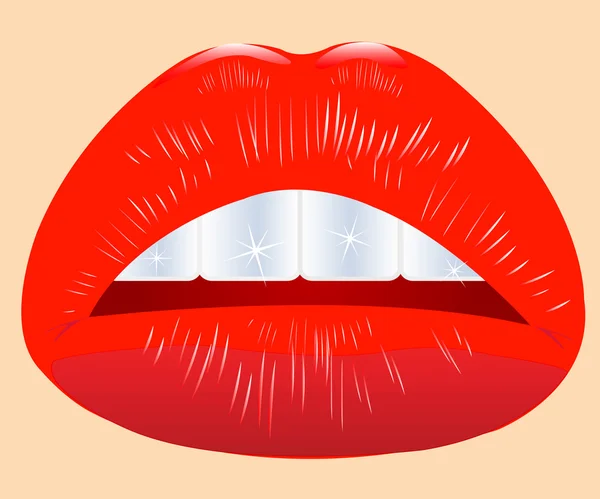 Vector illustration of the beautiful feminine lips — Stock Vector