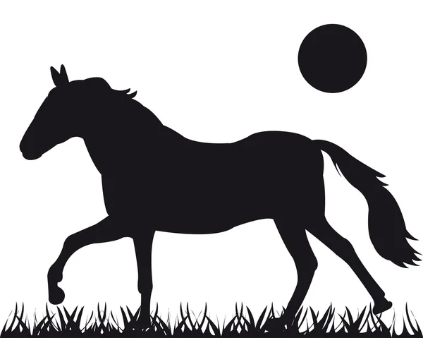 Silhouette vectorielle du cheval — Image vectorielle