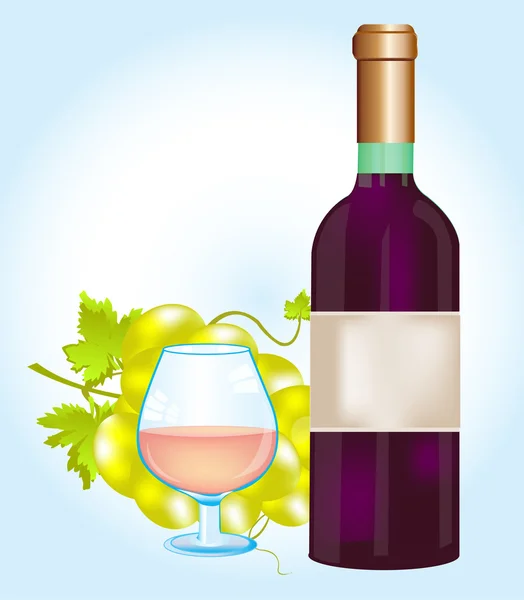Fles schuld en druivenmost — Stockvector