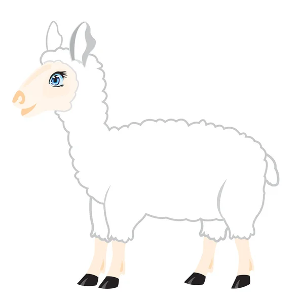 Moutons sur fond blanc — Image vectorielle