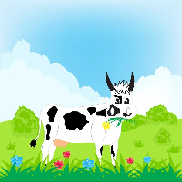 Cow grazes on meadow — Stock Vector