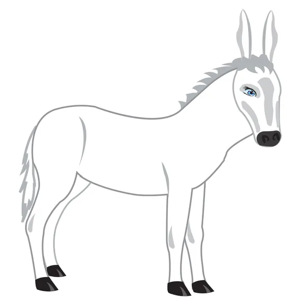 Tegning av burroen – stockvektor