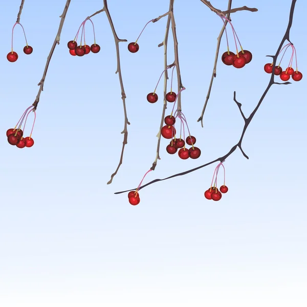 Vintern små äpplen — Stock vektor