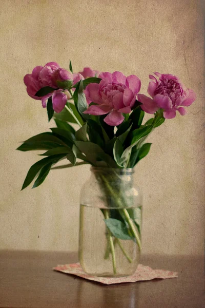Pink peonies in glass — Stock Photo, Image
