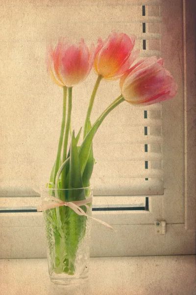 Изображение с розовыми тюльпанами — стоковое фото