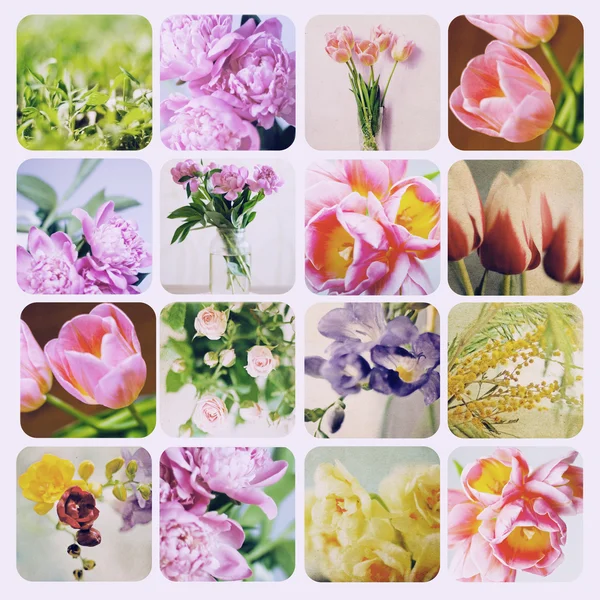 Όμορφα ανοιξιάτικα λουλούδια — Φωτογραφία Αρχείου