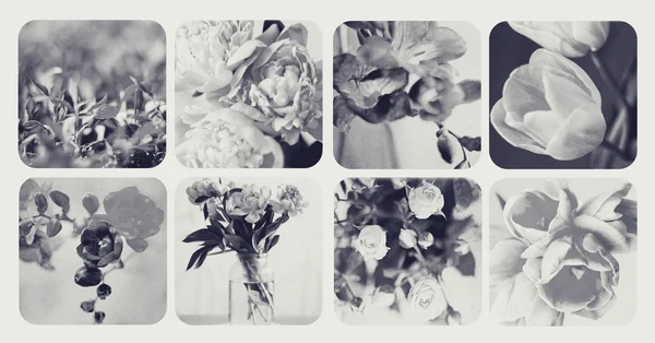Collage con fiori — Foto Stock