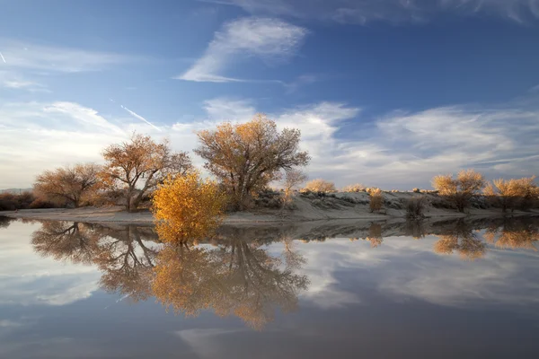 Otoño en California . — Foto de Stock