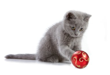 Kitten and christmas baubles clipart