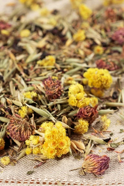 Сухой чай из полевых цветов — стоковое фото