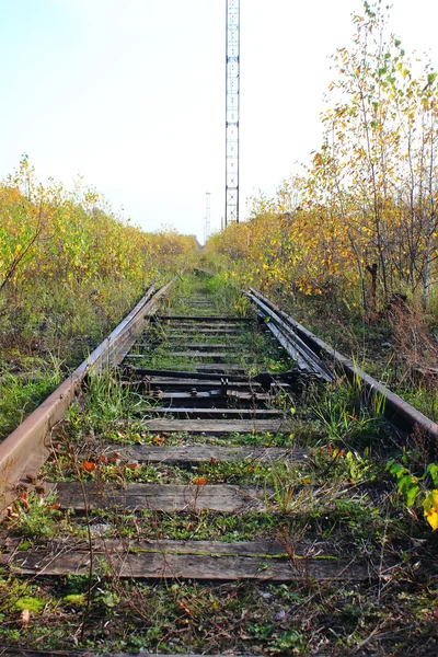 De oude spoorweg. — Stockfoto