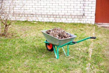 Hand cart filled with dry leaves in the spring clipart