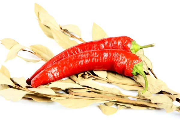 Pimenta quente vermelha fresca em uma folha de louro — Fotografia de Stock