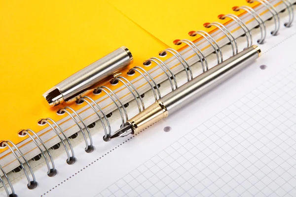 Фонтанная ручка и тетрадь по спирали — стоковое фото