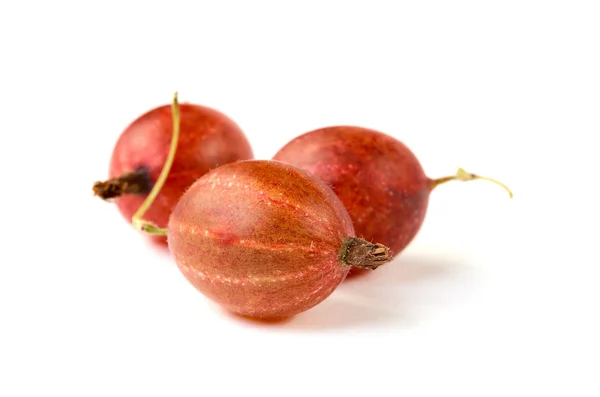 Trzy czerwone owoce agrestu na białym tle — Zdjęcie stockowe
