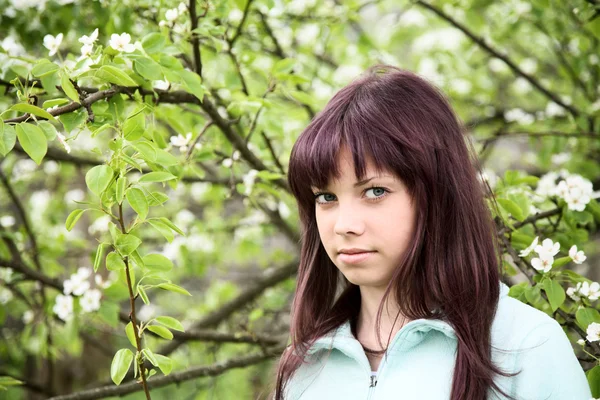 Девочка-подросток против цветущей груши весной — стоковое фото