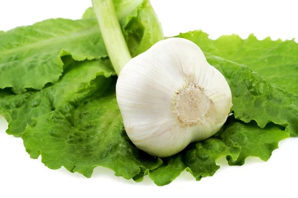 Garlic on green leaves of salad isolated on a white — Stock Photo, Image