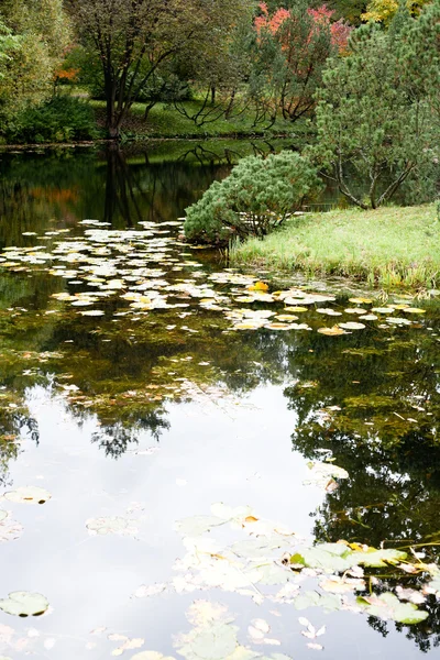 Осенний пруд — стоковое фото