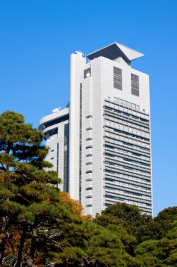 Japon sonbahar park ve gökdelen