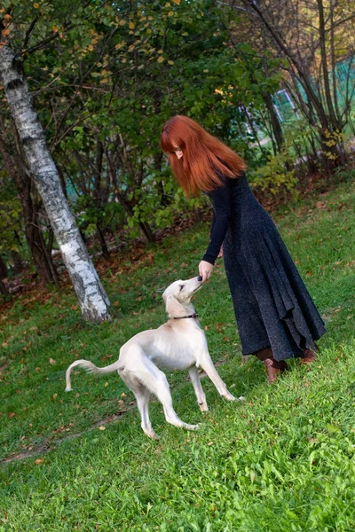 Девочка и щенок — стоковое фото