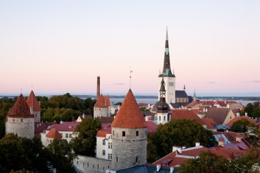 Tallin view clipart