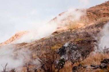 Geysers