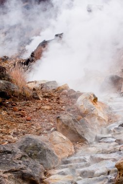 Geysers