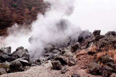 Geysers