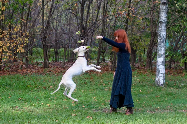 stock image Girl and puppy