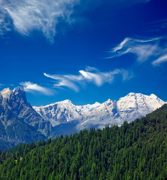 ヒマラヤ山脈と森林。インド — ストック写真