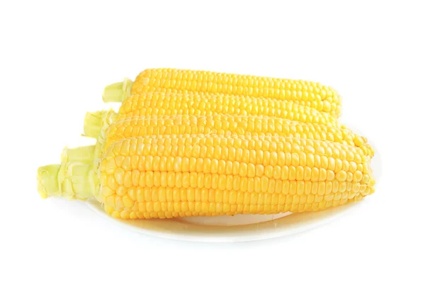 Kukorica csövek — Stock Fotó