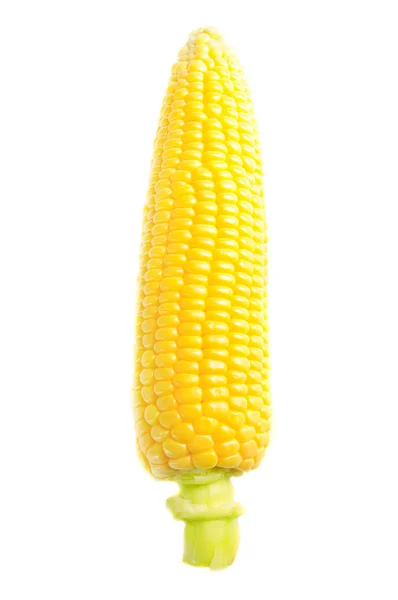 玉米芯 — 图库照片