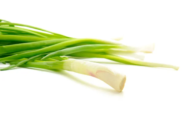 Зеленый свежий лук — стоковое фото