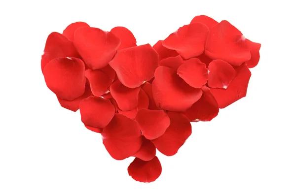 Heart from rose petals — Stock Photo, Image